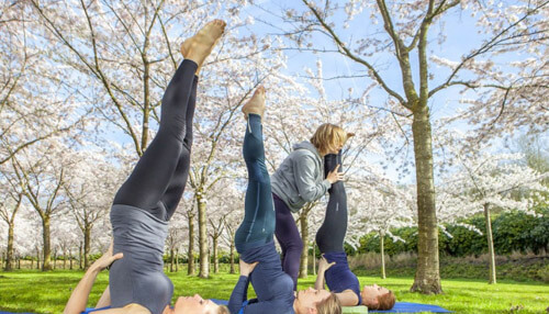 Home-based businesses Yoga instructor