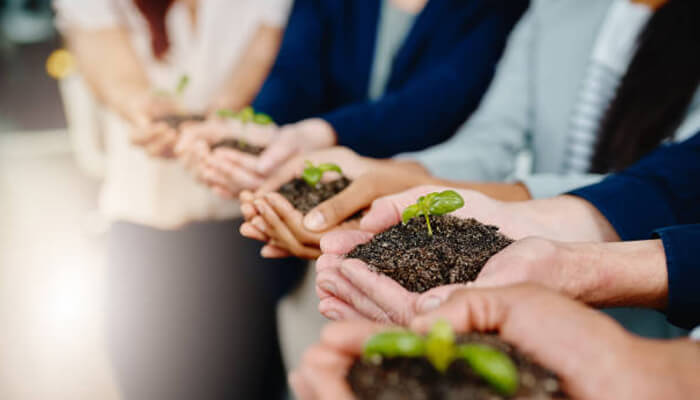 Social entrepreneurs Social entrepreneurs address this need with creativity and imagination social entrepreneurs