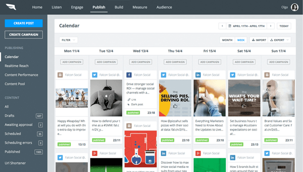 Falcon. Io Falcon. Io