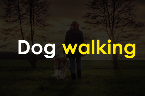 Side business ideas Dog walking side business ideas