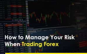 Forex tycoon