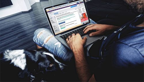 Mailchimp email marketing Online marketing tools: man with a dog working on a laptop, viewing a digital marketing dashboard with data and charts.