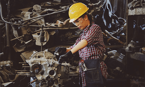 Fixed mindsets Fixed mindsets