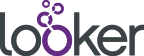 Looker Looker best sales analytics tool