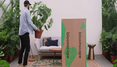 Best startup companies to watch in 2020 Bloomscape