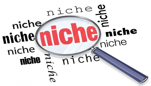 Choose the right niche - tycoonstory | tycoonstory media A magnifying glass highlighting the word'niche,' representing the importance of finding your niche as part of essential business tips for growth.
