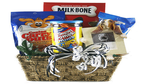 Animal lovers Gift basket for pets animal lovers