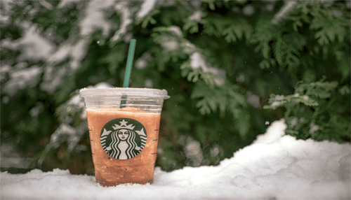 Starbucks A starbucks iced coffee cup placed in the snow, with green foliage in the background.