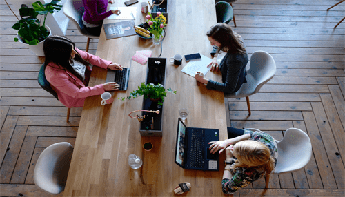 The 2020 essential parts of a modern office Team working at a shared desk with indoor plants, highlighting plants and greens as essential parts of a modern office.