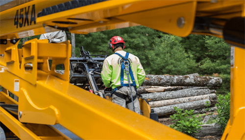 Why hire an arborist - tycoonstory | tycoonstory media Why hire an arborist?