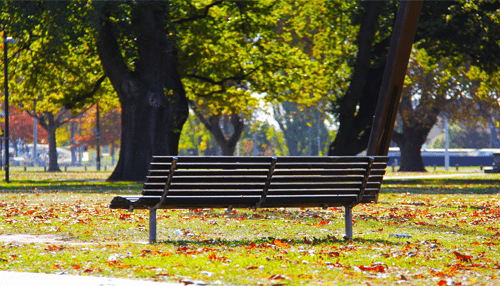 Local park or a chill-out space Empty park bench in a calm outdoor setting symbolizing reflection and emotional readiness to return to work after a difficult period.