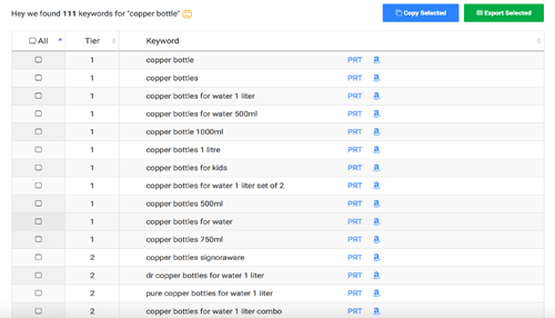 E-Commerce Websites Keyword list for an e-commerce website's SEO optimization, highlighting search terms for copper bottles.