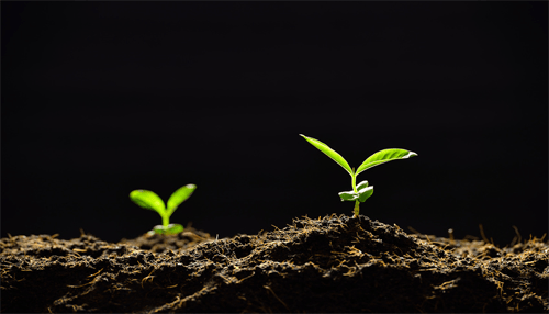 Content marketing Grow a personal brand content marketing