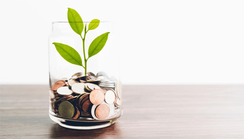 Investing in startups - tycoonstory | tycoonstory media A plant growing in a jar filled with coins, symbolizing the growth potential of investments, especially when learning how to invest in a startup.