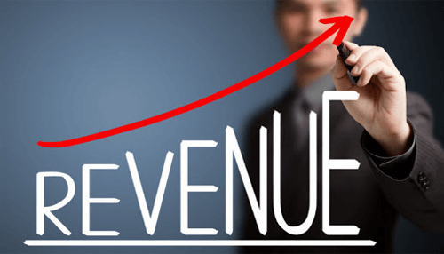 Profit and loss statement Revenue profit and loss statement