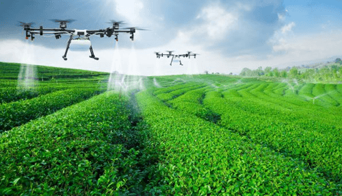 Digital technology into agriculture Drones and remote monitoring: digital technology into agriculture
