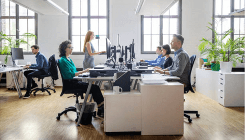 Work environment Employees working at desks in an open-plan office with natural light, representing a professional and productive work environment.