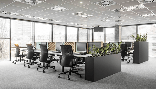 Office environment-tycoonstory | tycoonstory media Work environment needs plants and light