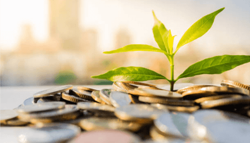 Green business ideas Green business ideas