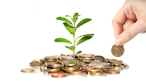 Bootstrapping-tycoonstory | tycoonstory media A hand placing a coin onto a pile of coins next to a growing plant, representing the growth potential of startup funding.