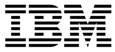 Ibm Ibm big data company