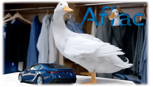 Aflac car insurance-tycoonstory | tycoonstory media Aflac car insurance