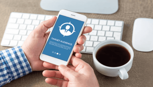 Target audience profile Target audience profile startup online