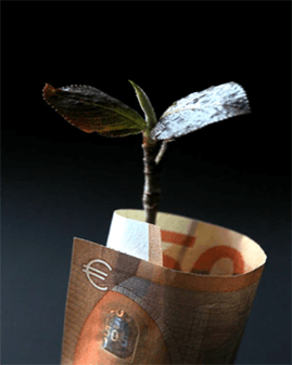 Money investment Money investment start a business