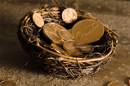 Irs-approved coins-tycoonstory | tycoonstory media A nest filled with gold coins symbolizing wealth protection and long-term savings strategies often used by gold ira buyers.