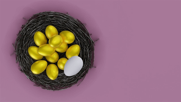 Precious metal ira guidelines-tycoonstory | tycoonstory media Nest filled with golden eggs representing long-term financial security and the value of precious metal assets.
