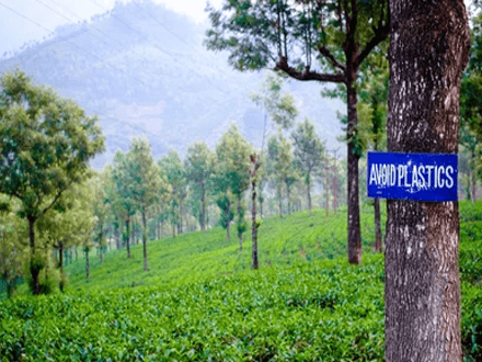 Avoid plastics protect the planet - tycoonstory | tycoonstory media Tree with a sign reading avoid plastics in a lush green tea plantation, promoting the message to protect the planet, with hills in the background.