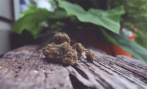 Cbd topicals Cbd topicals cbd and thc