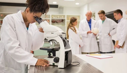 Medical school Medical school residents medical consultancy