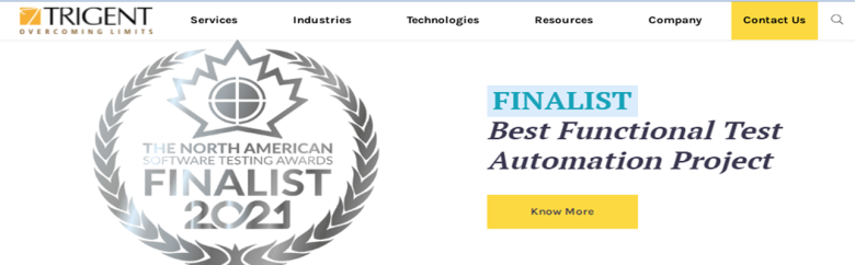 Trigent Trigent custom software development