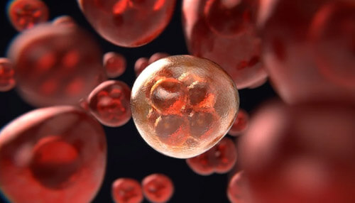 Hexahydrocannabinol hhc Hexahydrocannabinol tumor growth hhc