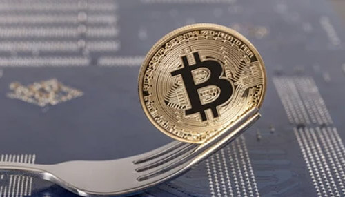 Bitcoin fork Bitcoin fork invest in bitcoin