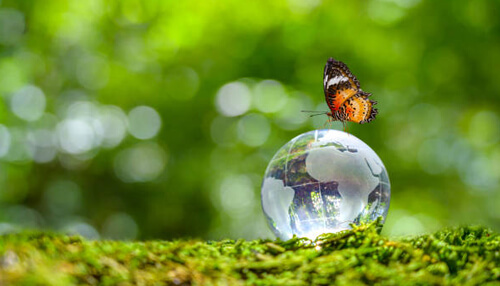 Global awakening Global awakening real estate