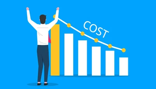 Low marketing costs A person celebrating as cost decreases, with a bar chart showing improvement, representing the benefits of search engine optimization in reducing marketing costs.