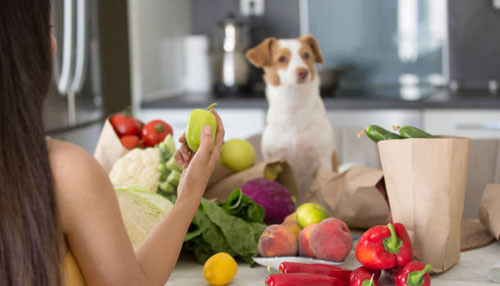 Misfits Quality of the items misfits