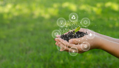 Sustainable lifestyle - tycoonstory (1) | tycoonstory media Joseph ashford promoting a sustainable lifestyle, shown by hands holding soil and a young green plant with eco-friendly and sustainability icons.