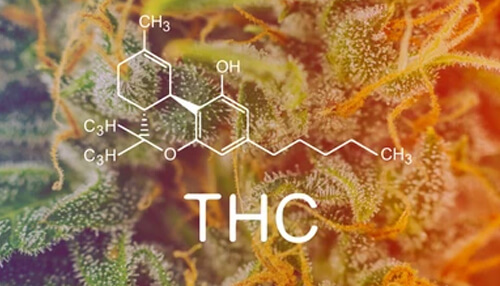 Tetrahydrocannabinol - tycoonstory | tycoonstory media Tetrahydrocannabinol