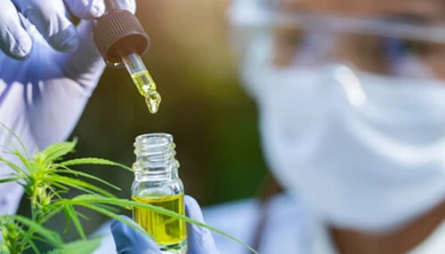 Cannabis startups Cannabis startups are booming