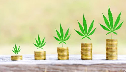 Marijuana business Marijuana business cannabis products