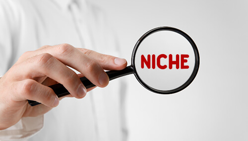Niche Niche drop shipping business