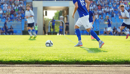 Which are the most predictable sports in sports betting Which are the most predictable sports in sports betting football tournaments