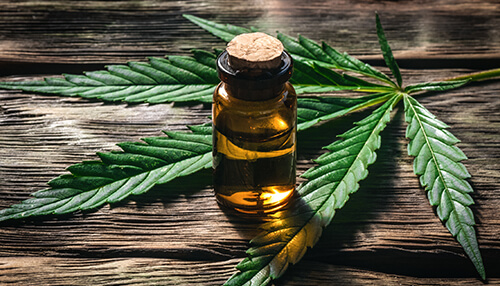 Cannabis business - tycoonstory | tycoonstory media Cannabis business