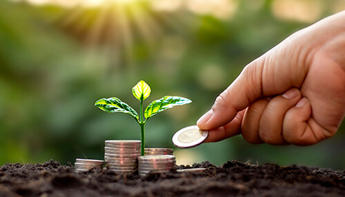 Finance A person placing a coin next to a growing plant, representing the investment and growth of your business after you register your business.