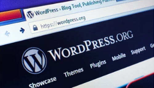 WP Maintenance Mode plugin WordPress website homepage displayed on a browser tab.