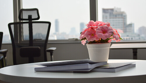 Bring the personality to the office decor Pink potted flowers placed on a round office table with books and a city skyline in the background.