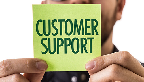 Essay writing Essay writing